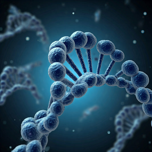 Nucleic Acids: The Building Blocks of Life